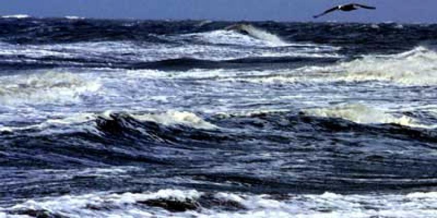 Foto van zee Noordzee meeuw | Archief EHF