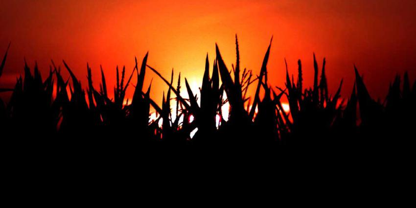 Ook Nederland doet mee aan onderzoek over bedreigende zonnestormen