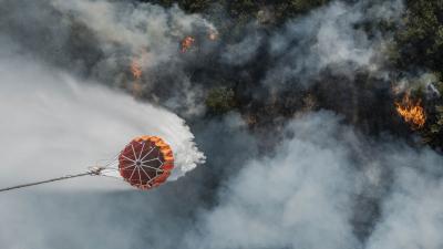 Blussen met bambi bucket