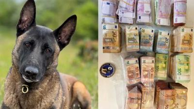speurhond-Monster-bankbiljetten-witwassen