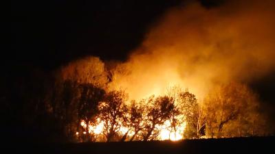 Foto van brand boerderij