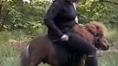 Veilig en liefdevol huis voor ponyplet-ponys 