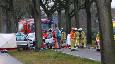Hulpverleners proberen het leven van de bestuurder te redden