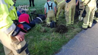 Foto van paard te water