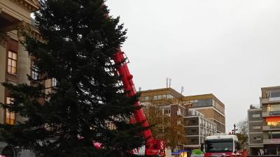 Plaatsen van kerstboom op Grote Markt