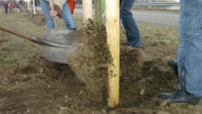 Natuurmonumenten in actie om omstreden Blankenburgtunnel