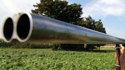 Onbeperkt jagen op knobbelzwanen onaanvaardbaar