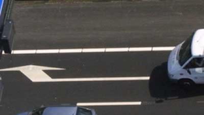 In Nederland unieke otter overreden op A12 Gouda