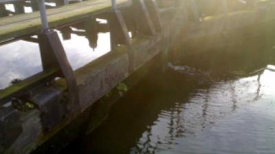 Stoffelijk overschot van man aangetroffen in sluis