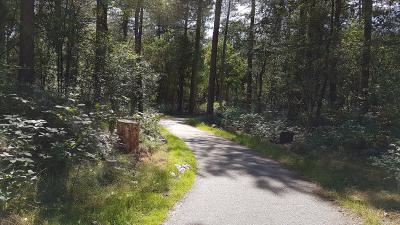 Man (41) aangehouden voor zedenmisdrijf in Overloonse bossen