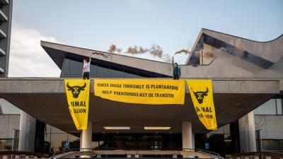 Activist op dak provinciehuis