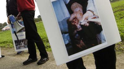 Minister wil zo snel mogelijk af van apen-experimenten