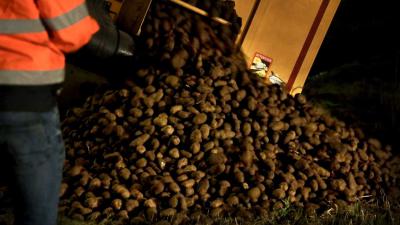 aardappelen-trailer
