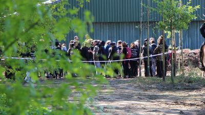 actievoerders-varkensstal