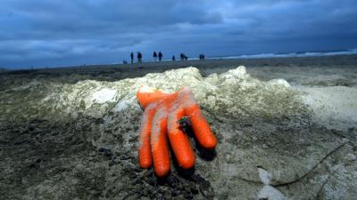 Record aan afval opgeruimd op Nederlandse stranden