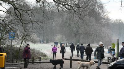 Drukte bij ingang landgoed Beerschoten