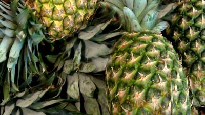 Fruithandelaar vrijgesproken van cocaïnesmokkel in lading ananassen  