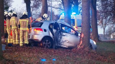 auto-boom-gewond-bekneld-brandweer