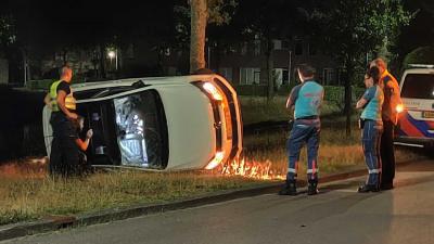 auto-zijkant-boom