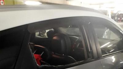 Politie bevrijdt in auto's opgesloten honden rond World Dog Show Rai