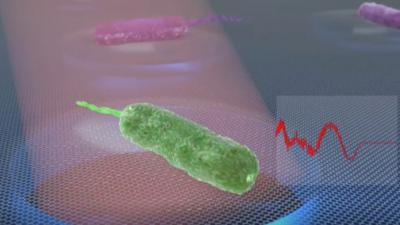 Wetenschappers TU Delft kunnen bacteriën afluisteren