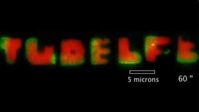 Bacteriën gemanipuleerd om woord &#039;TUDELFT&#039; te vormen 