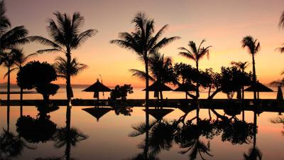 bali-palmbomen-vakantie