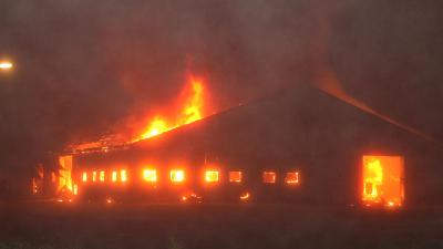 Grote brand verwoest Drents recyclingbedrijf 