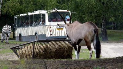 foto van Safari Park Beekse Bergen | fbf