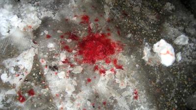 Politie tast in duister over bloedspoor in Drimmelen