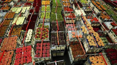 export landbouwgoederen, stijgen, recordwaarde