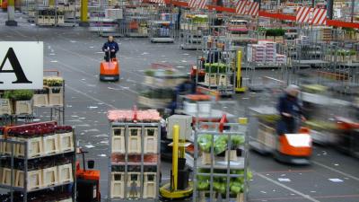 Foto van bloemenveiling FloraHolland Aalsmeer | Archief EHF