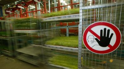 Rusland dreigt met een importstop van alle bloemen uit Nederland 