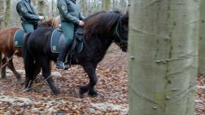 Groene BOA’s zien criminaliteit toenemen