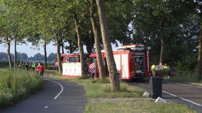 boom-aanrijding-overleden