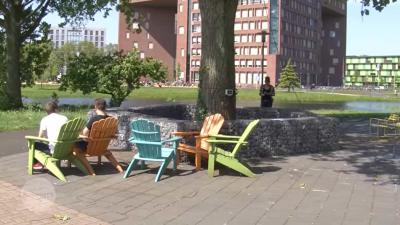 &#039;Nederland heeft een boom die spreekt&#039;