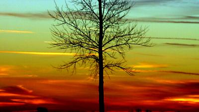 Nederlands echtpaar vermoord op teakplantage in Costa Rica