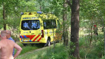 Man komt tijdens wandeling met hond onder boom terecht
