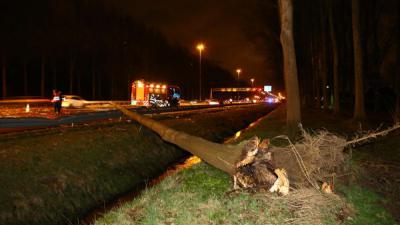 Snelweg A2 tussen Liempde en Best dicht na omgewaaide boom