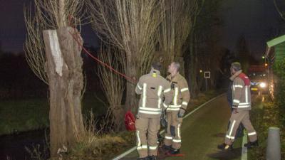 Brandweer laat boom gecontroleerd omvallen