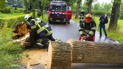 Flinke boom in Boxtel bezwijkt door storm