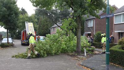 boomtak-brandweer