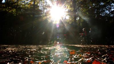 Kinderen zwaar gewond door chemisch afval in bos