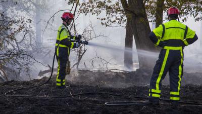 bosbrand-blussen