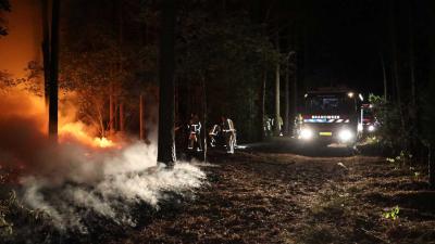 bosbrand-donker