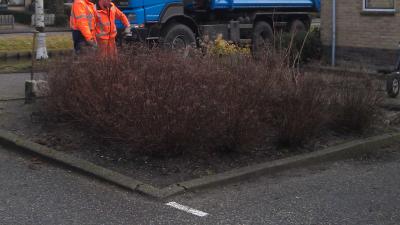 Kleine bosjes zijn van groot belang