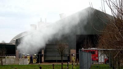 brand-loods