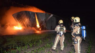 49 kalfjes gered bij grote brand in Dwingeloo