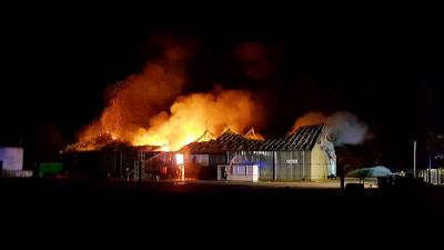 Grote brand verwoest landbouwloods in 1e Exloërmond