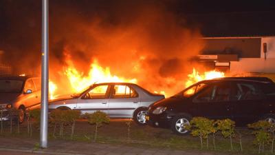 Zes auto's in vlammen op bij autobedrijf in Hoogeveen